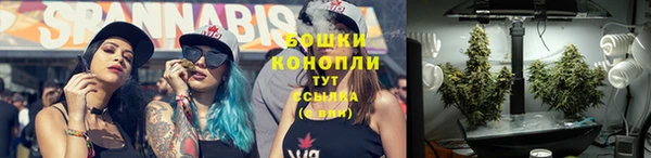 стаф Белокуриха