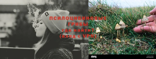 PSILOCYBIN Беломорск