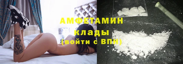 стаф Белокуриха